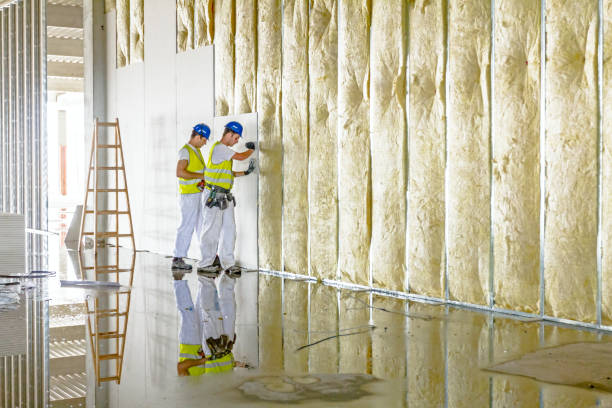 Best Insulation Installation Cost  in Grasonville, MD